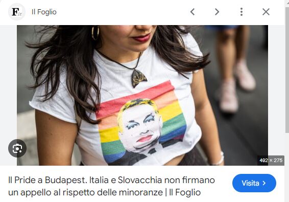 Questa immagine ha l'attributo alt vuoto; il nome del file è cvm25.jpg